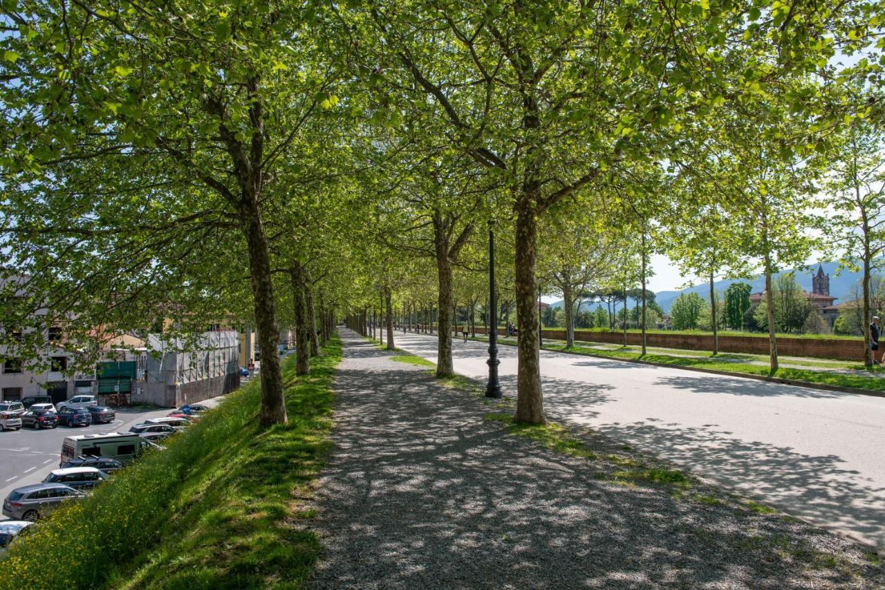 Cittadella Homes Lucca